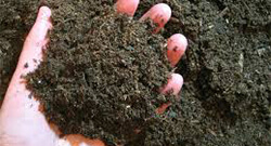 粉狀有機肥的生產(chǎn)工藝是怎樣的